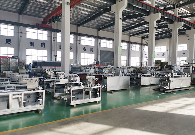 What Is a Blister Packing Machine?