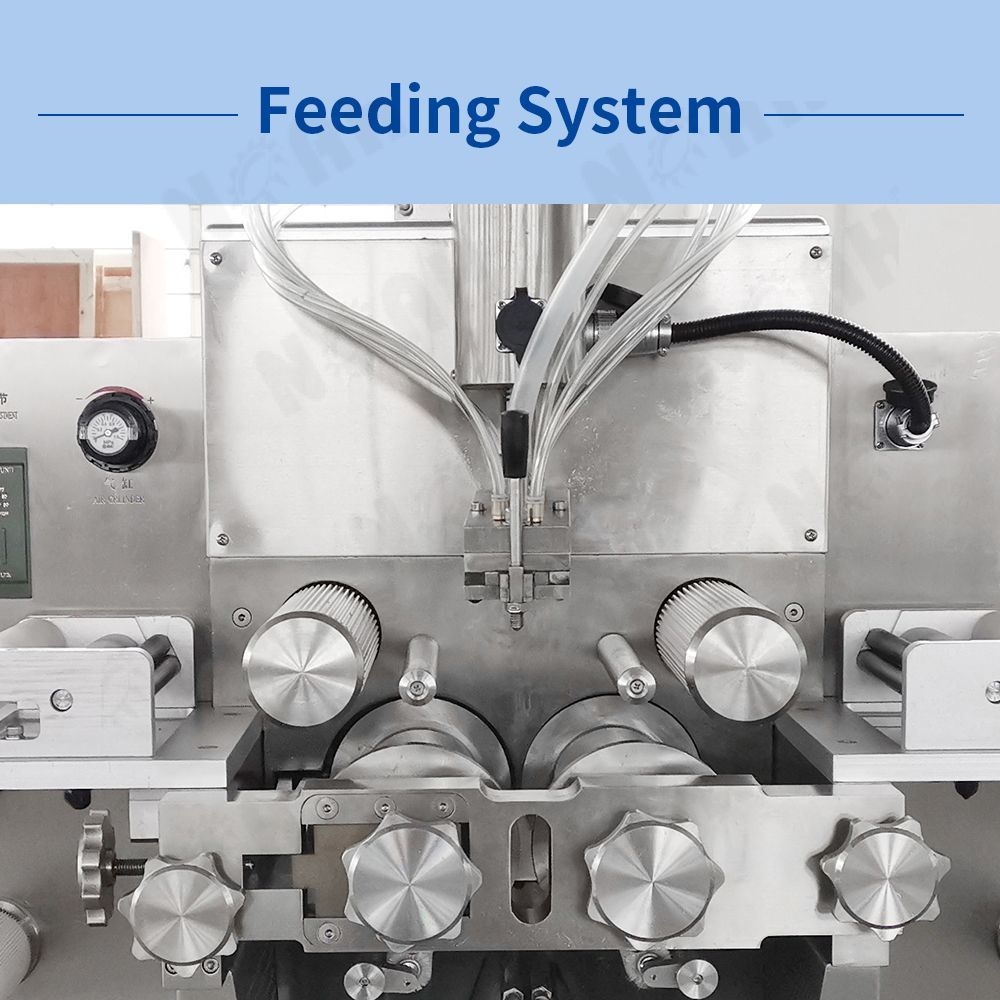 RJN-120 Softgel Encapsulation Machine Line